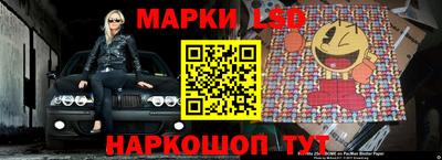 крисы Новозыбков