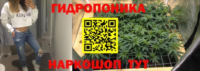 spice Новодвинск