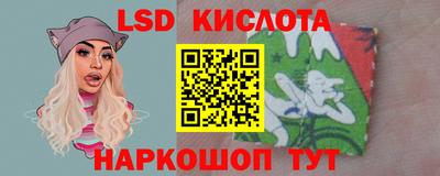 крисы Новозыбков