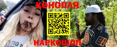 крисы Новозыбков
