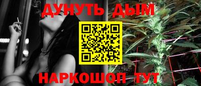 крисы Новозыбков