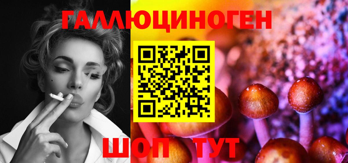 Тула  Псилоцибиновые грибы Psilocybe  Вход с VPN 